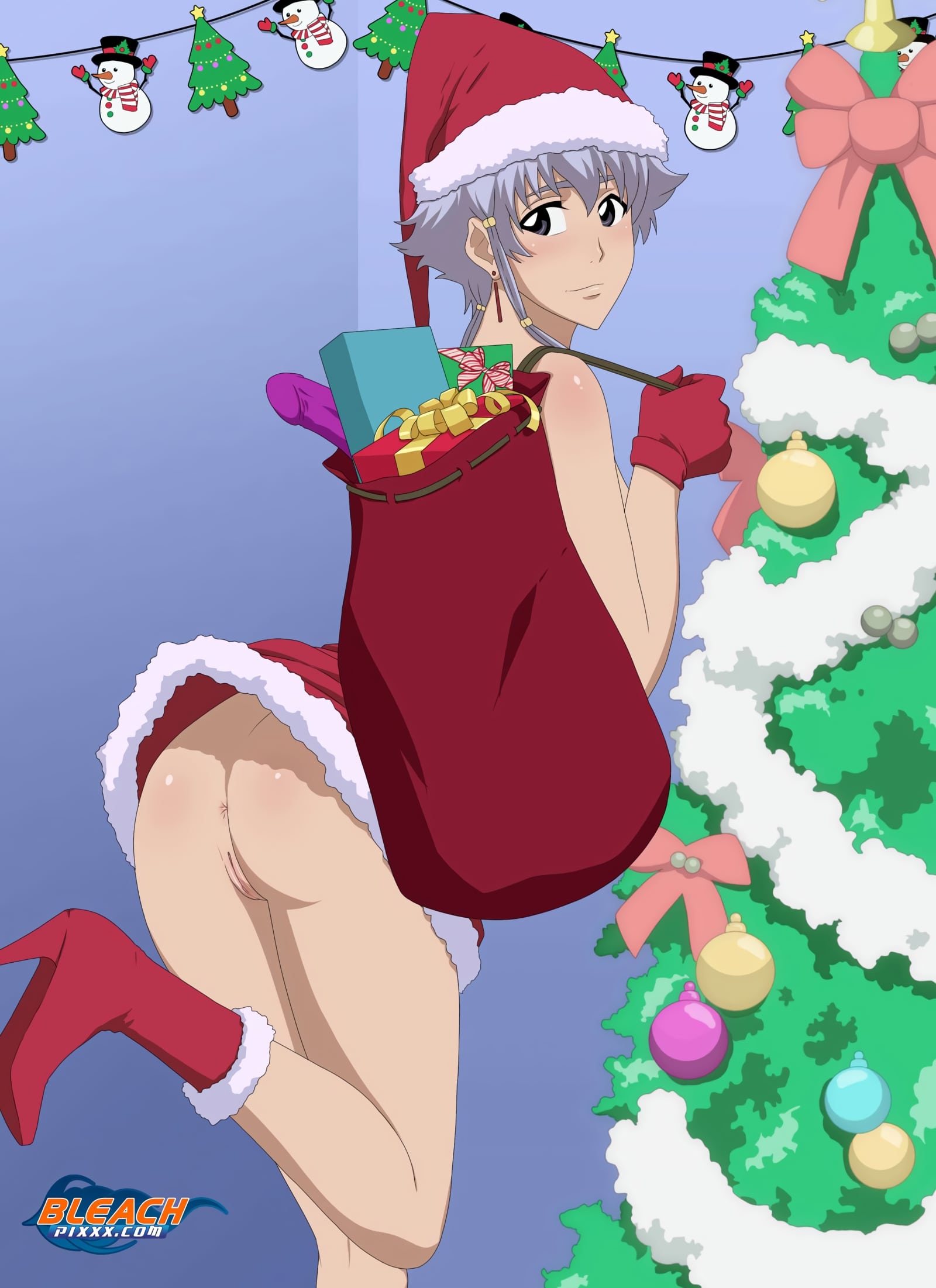 Isane Kotetsu Sexy Santa by Rex